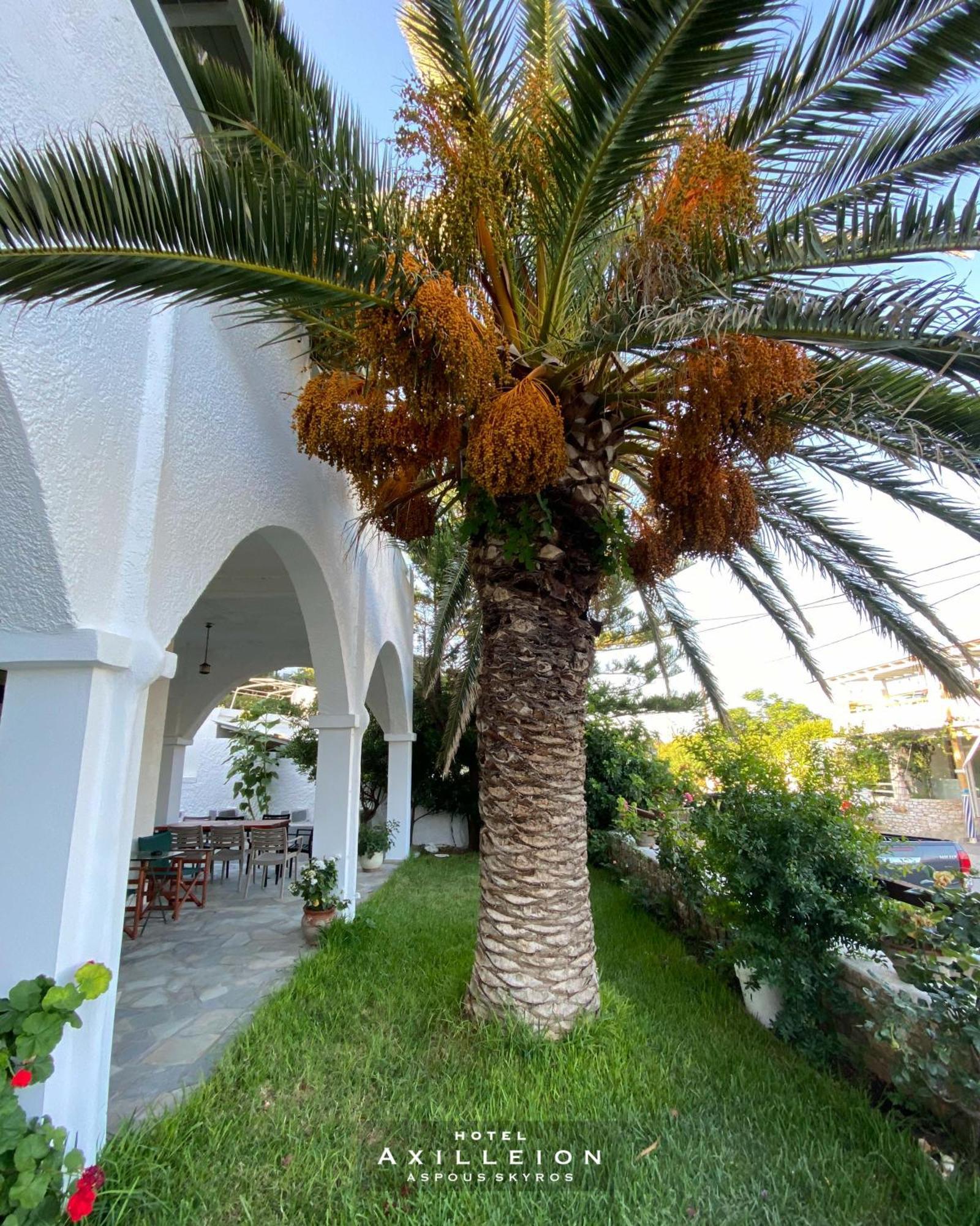 Achilleion Hotel Skyros Exterior photo